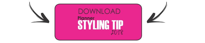 Download do planner STYLING TIP 2018
